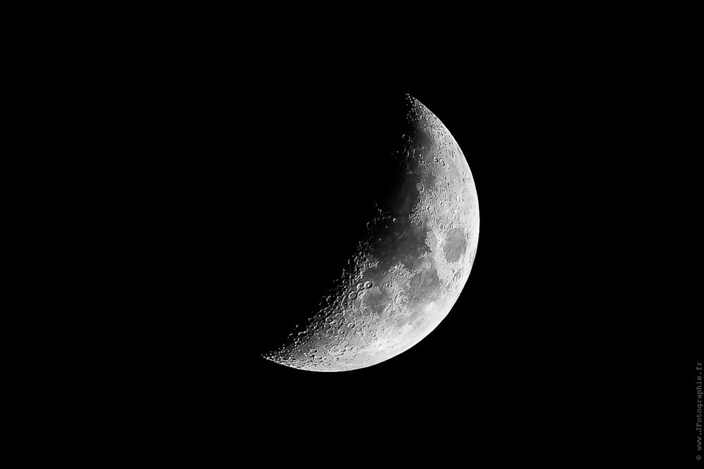 _DSC9334